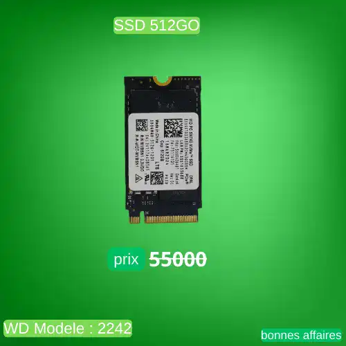wd SSD 512GO
