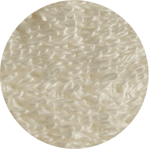 Champagne