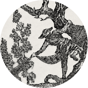 Toile-Jouy-Classique-Noir