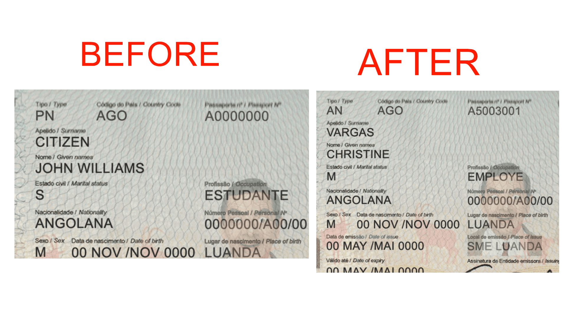 PDF document editing sample before after comparison