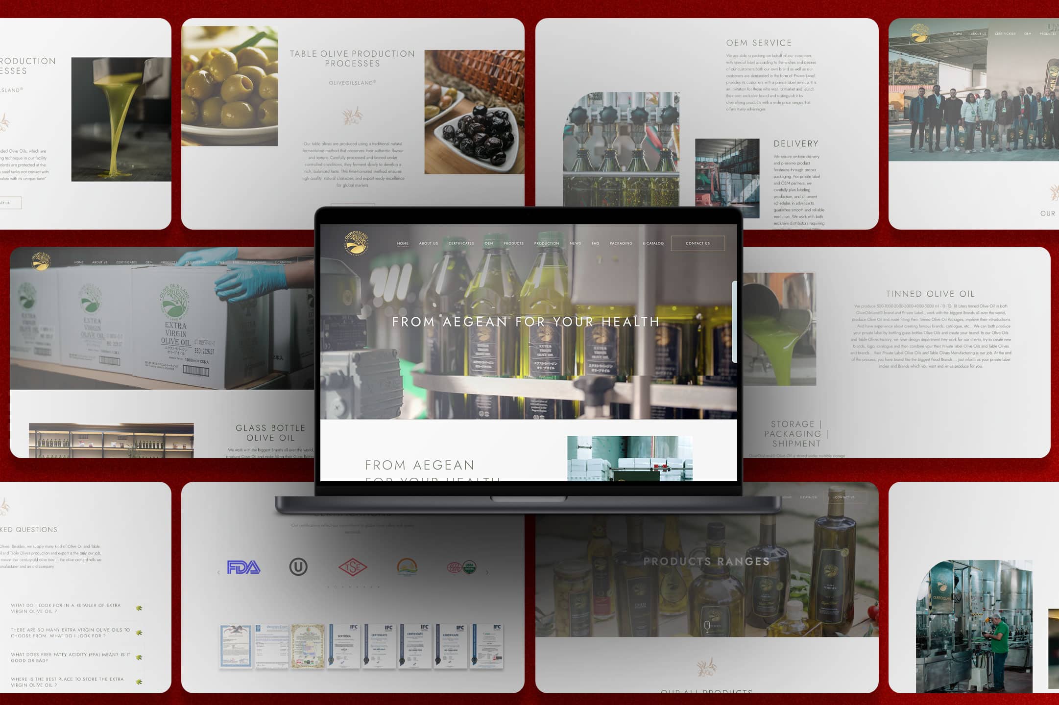 olive-oils-land-03