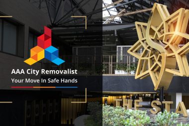 Case Study on the Star Casino Removal Service