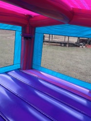 IMG 4856 1763391397 Princess Castle Bounce House