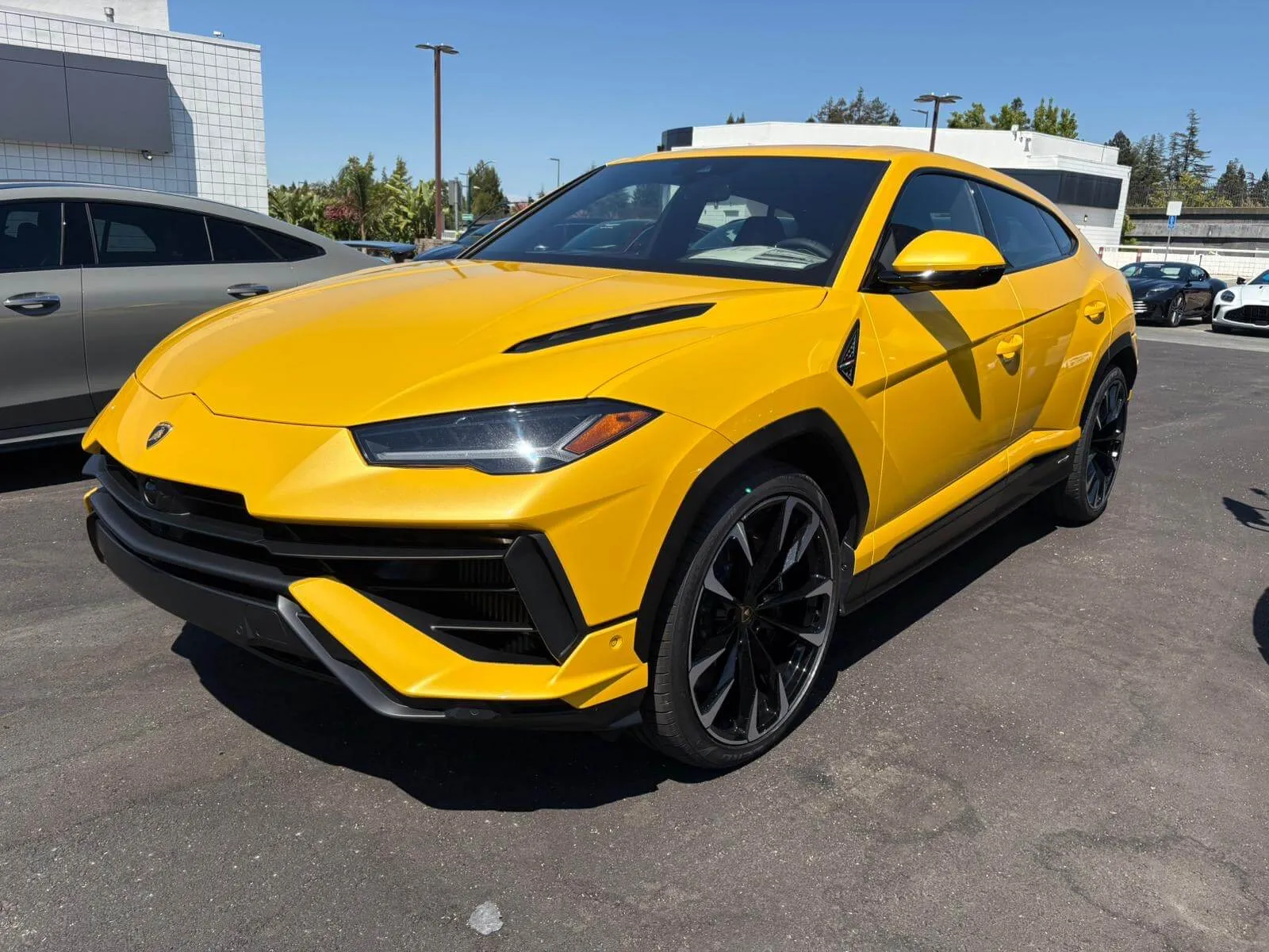 urus4