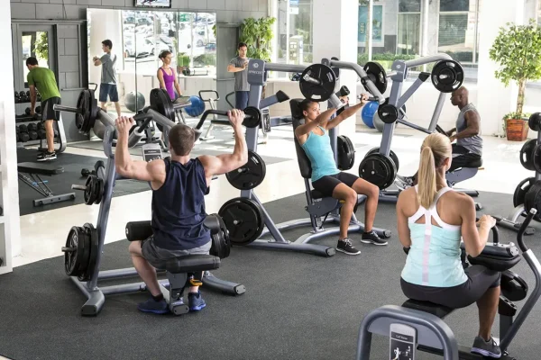 Wellness Services Wellness Services
