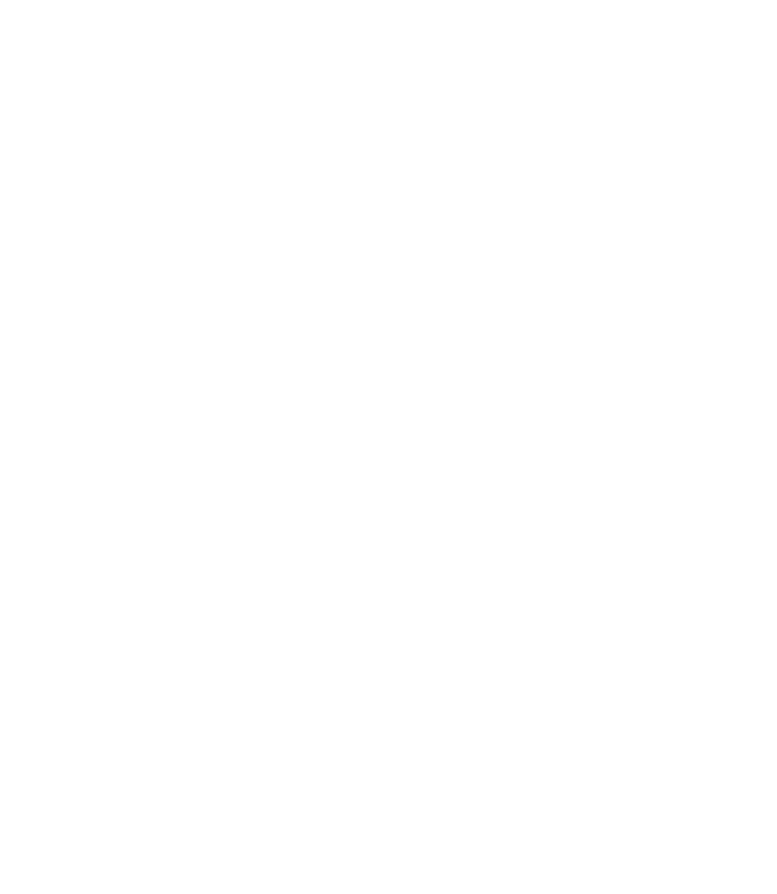 amn_vertikal_Logo_neg
