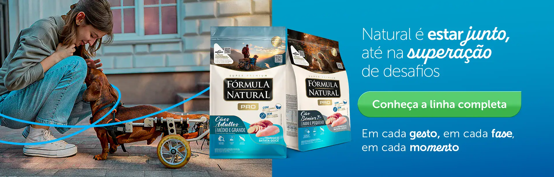 Banner Campanha Sempre Junto - Versão Pro