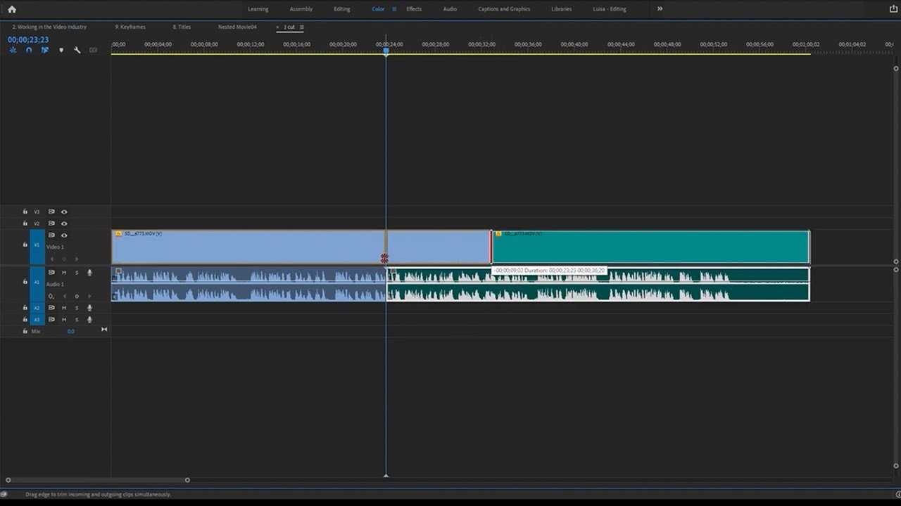 Trabajando en la industria del vídeo