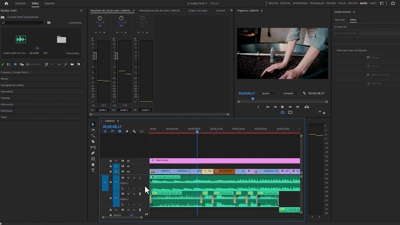 Panel de Sonido Esencial