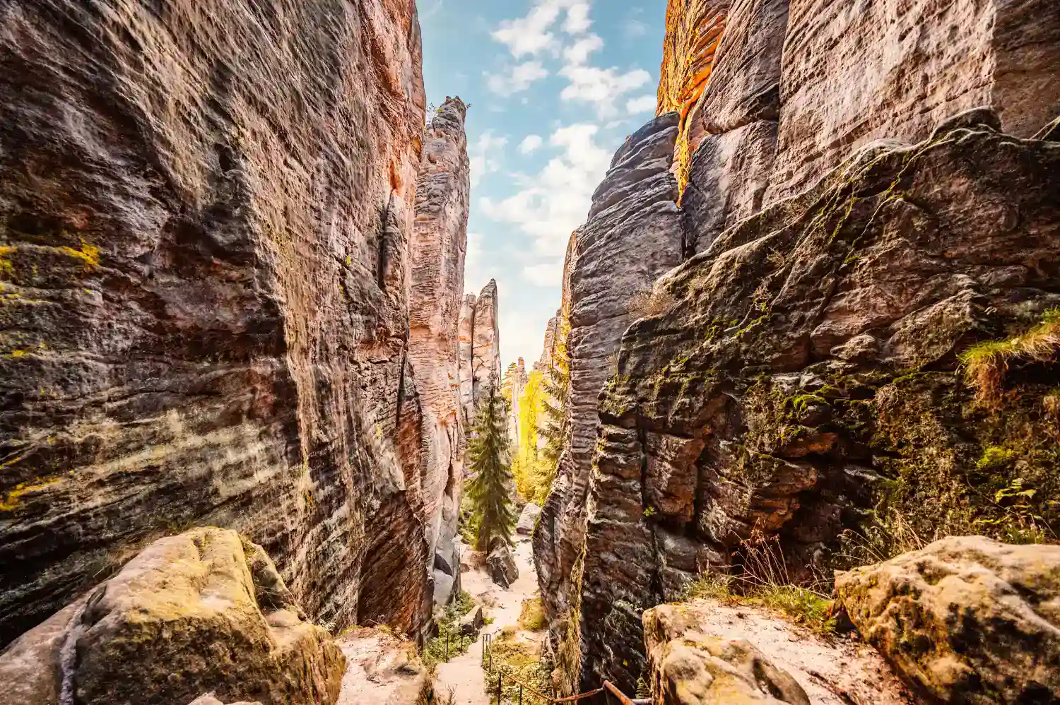Sandstone rocks in Bohemian Paradise on a day trip from Prague