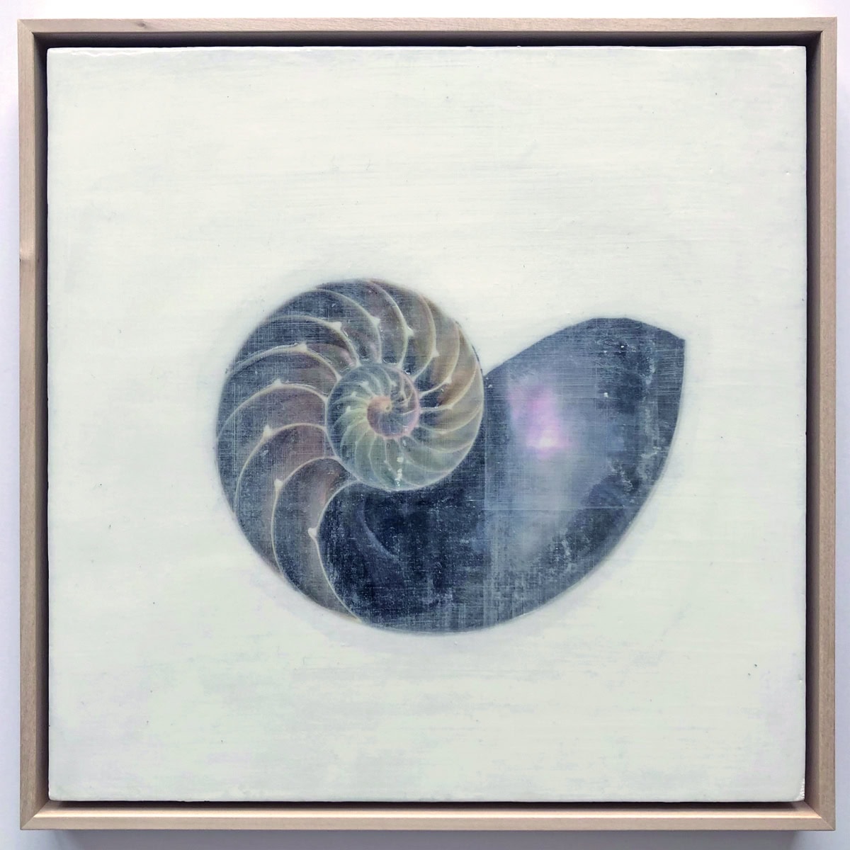 Dieses Bild hat ein leeres Alt-Attribut. Der Dateiname ist Nautilus-Kopie.jpg