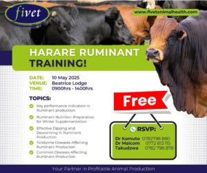 Harare Ruminant Training Fivet