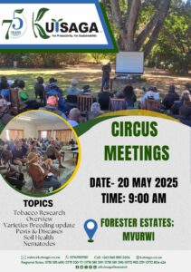 Kutsaga Circus Meetings 1