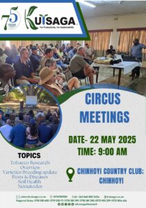 Kutsaga Circus Meetings 2