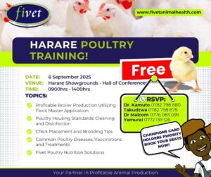 Harare poultry training