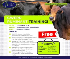 Gweru Ruminant Training