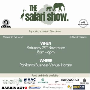 The Safari Show 29 Nov