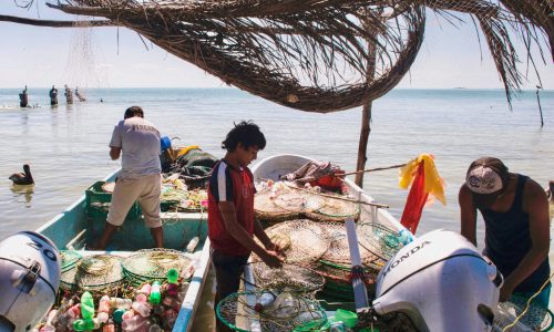 Voluntariado internacional para mayores de 18 años Islas Mauricio