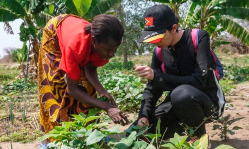 Voluntariado internacional para mayores de 18 años