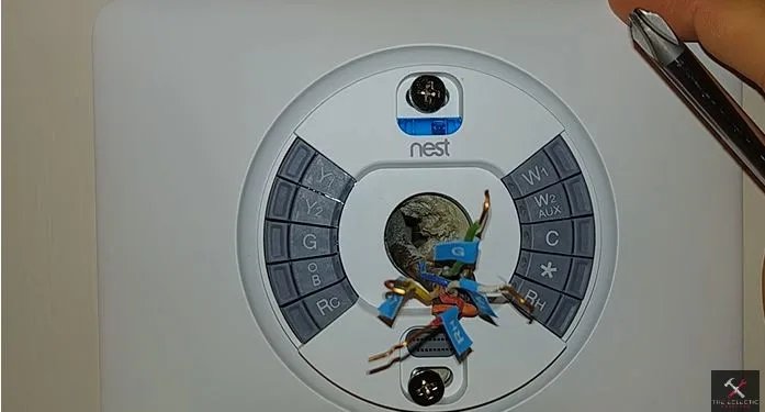 nest mounted on wall jpg