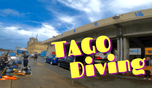 堂ヶ島！のはずが、田子ダイビングへ