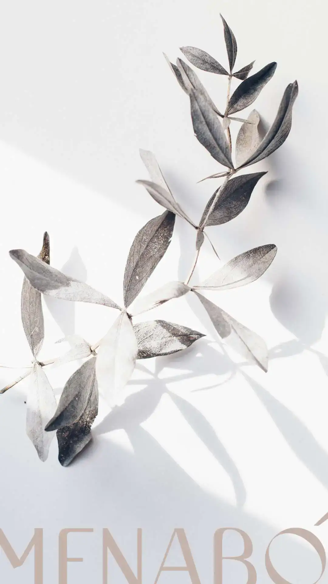 Identidade Visual Aromatizadores Aroma