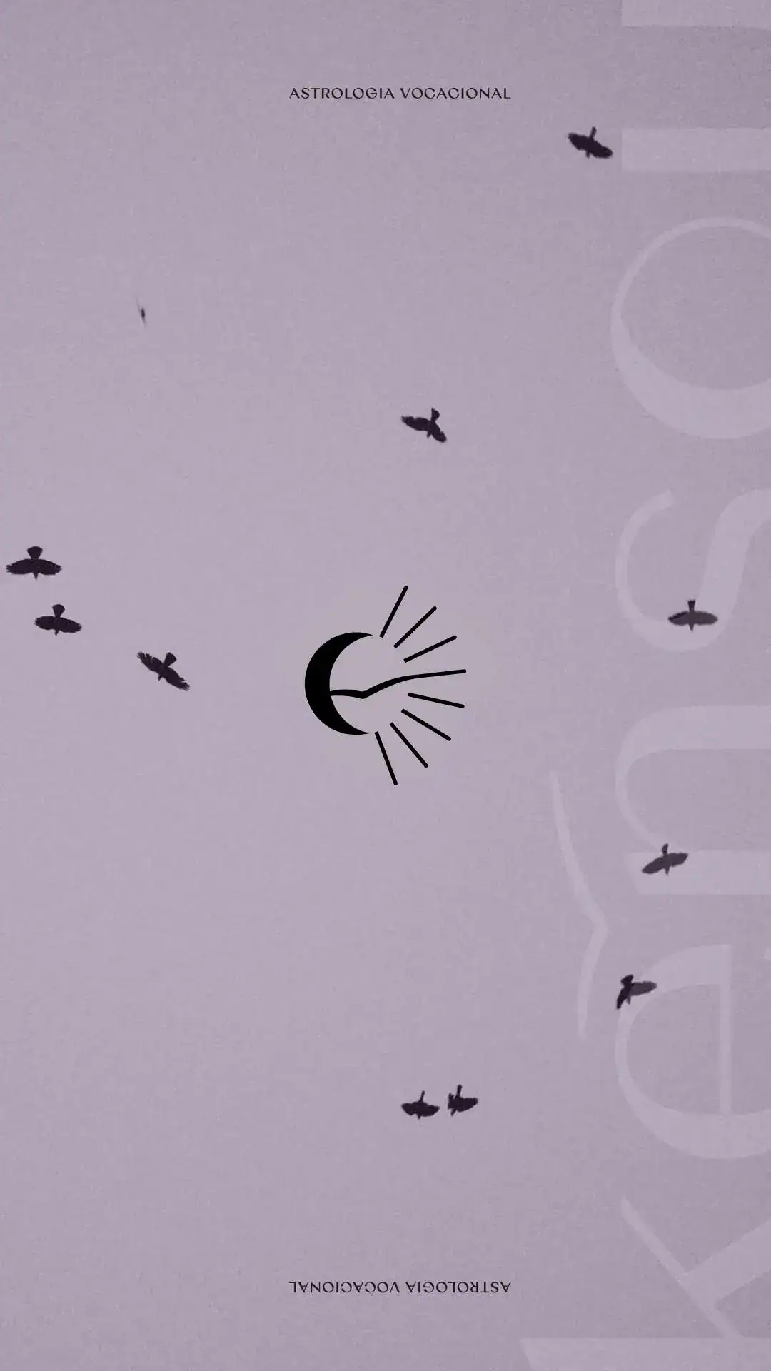 Identidade Visual Astrologia Vocacional - Astróloga