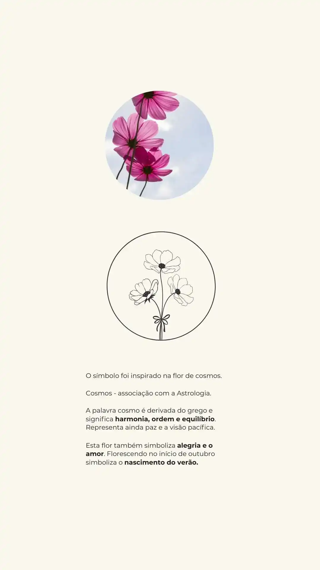 Identidade Visual Floricultura - Atelier Floral