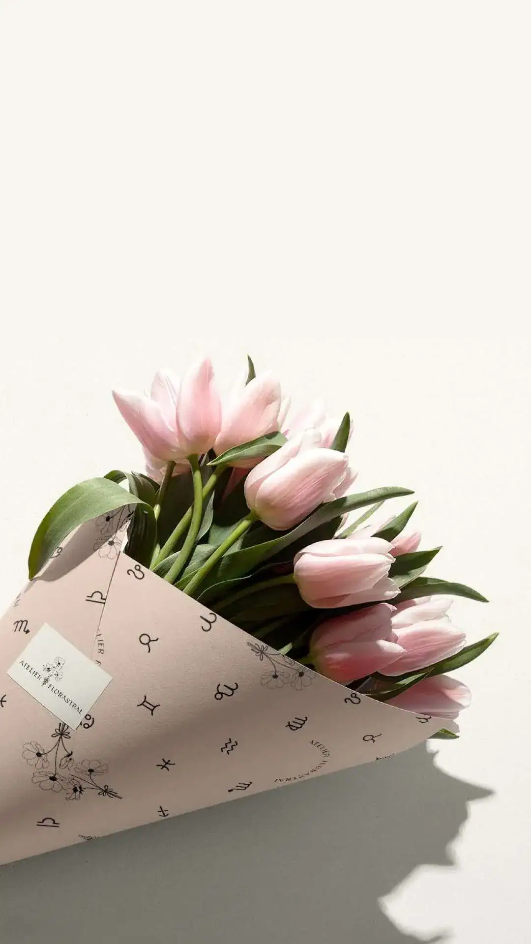 Identidade Visual Floricultura - Atelier Floral
