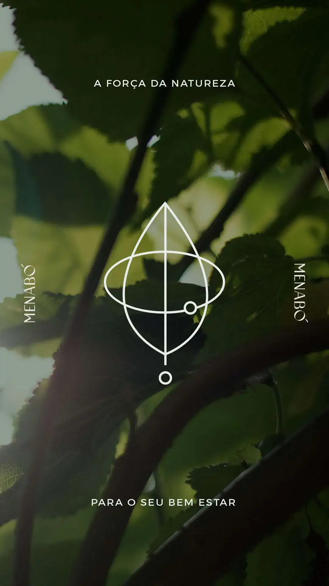 Identidade Visual Aromatizadores Aroma