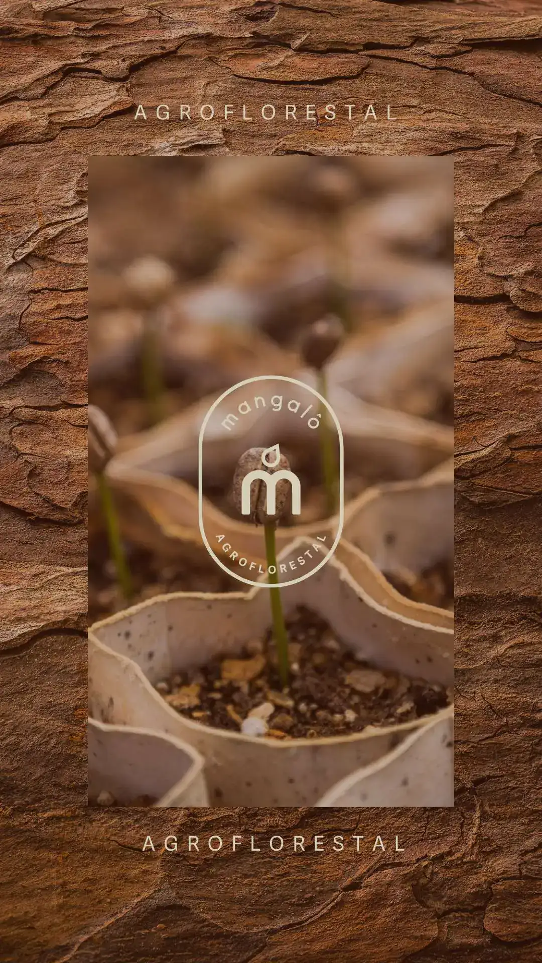 Identidade Visual Fazenda Agroflorestamento
