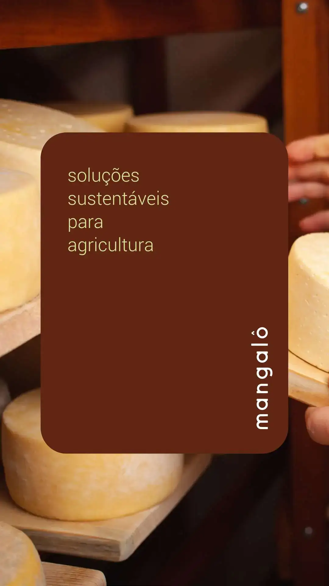 Alegria Design