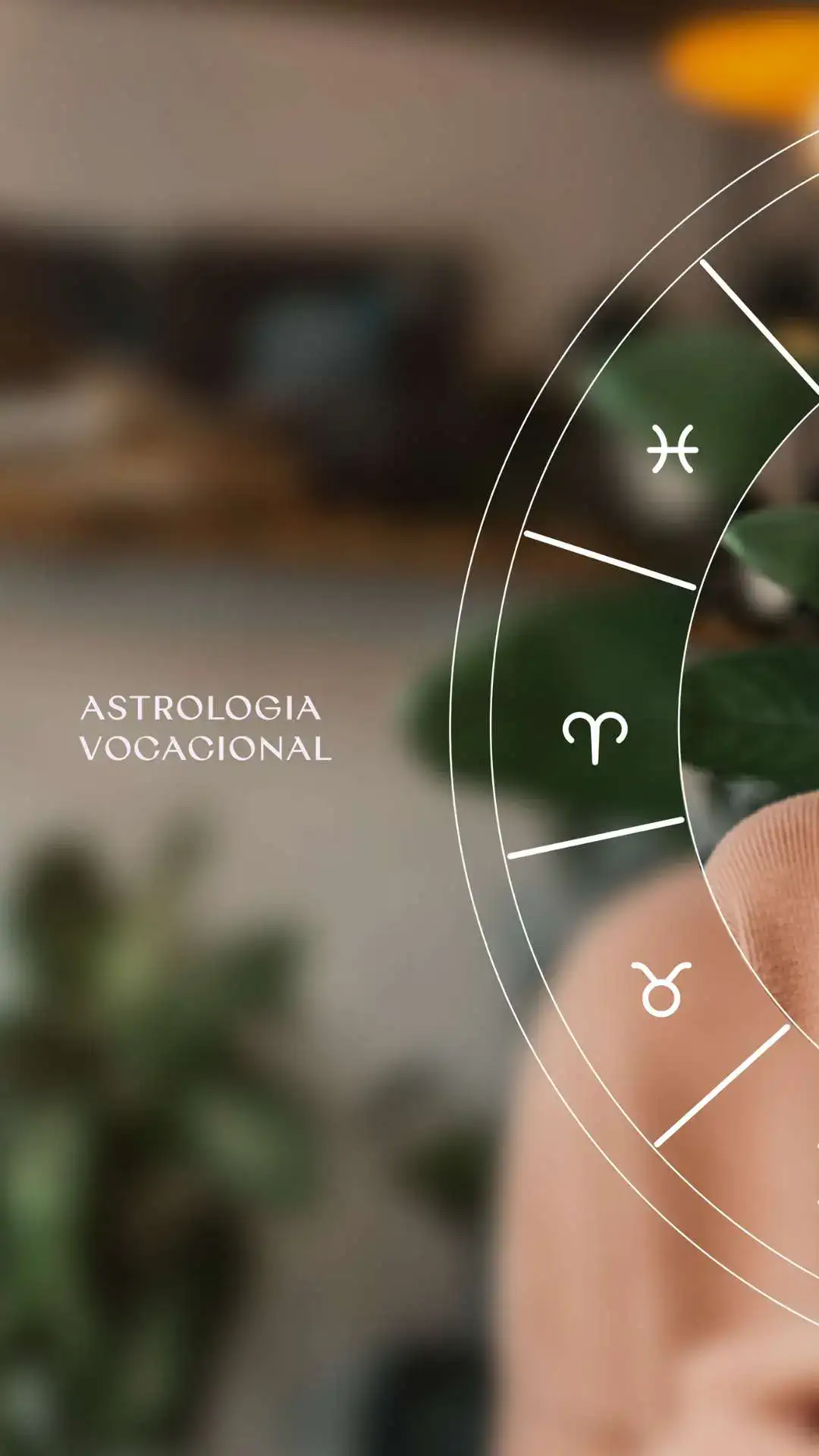 Identidade Visual Astrologia Vocacional - Astróloga