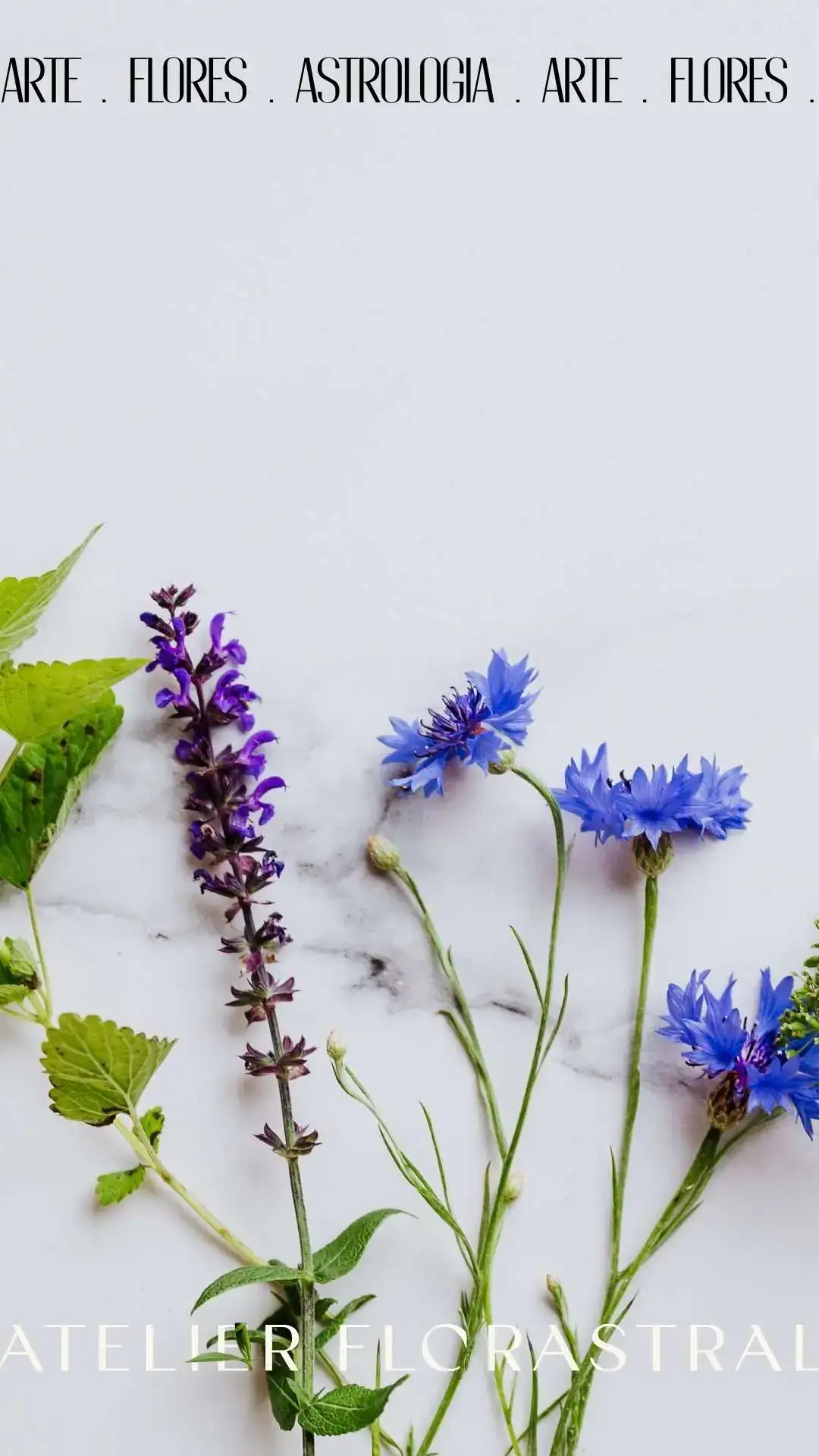 Identidade Visual Floricultura - Atelier Floral