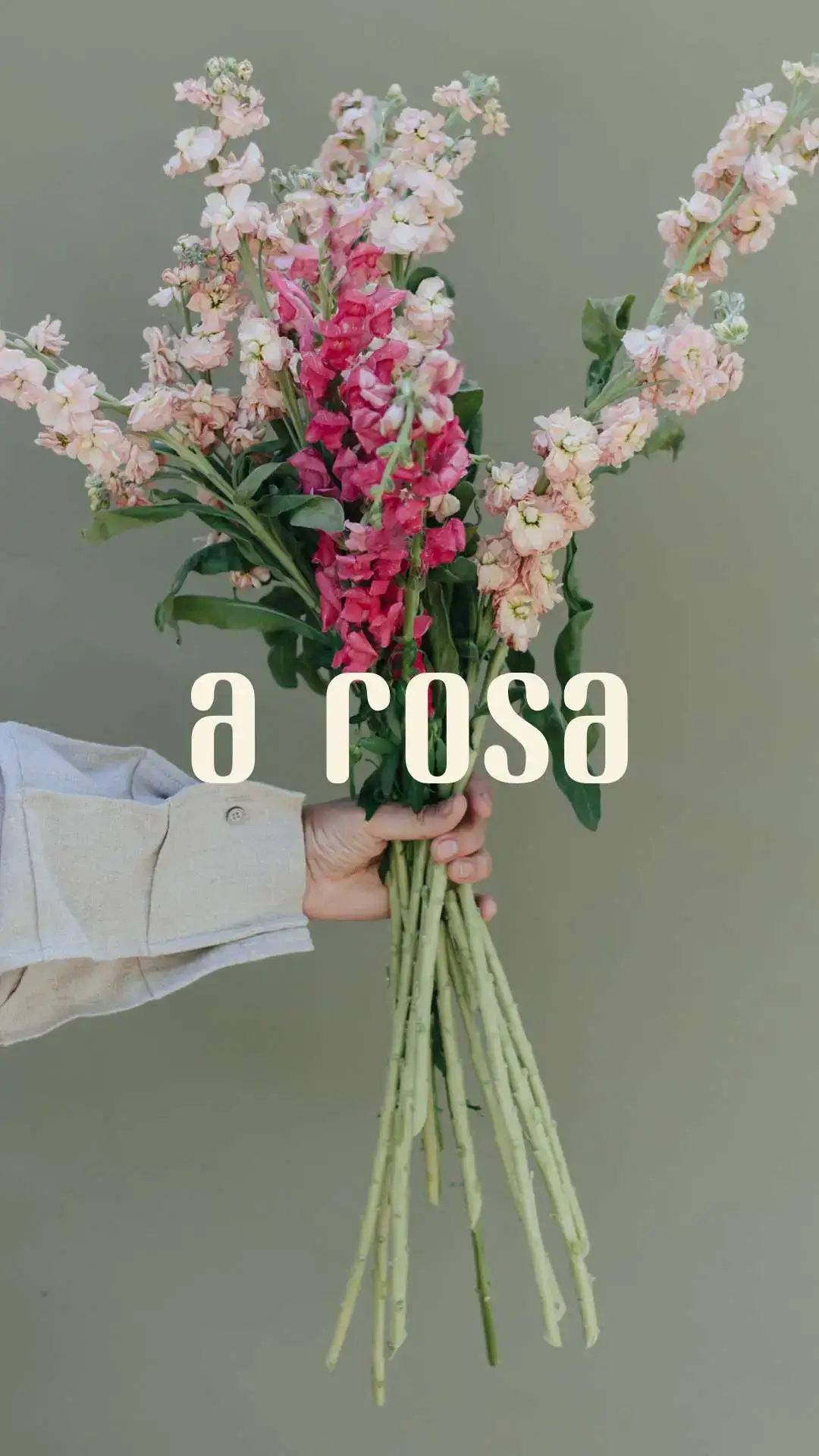 Identidade Visual Floricultura