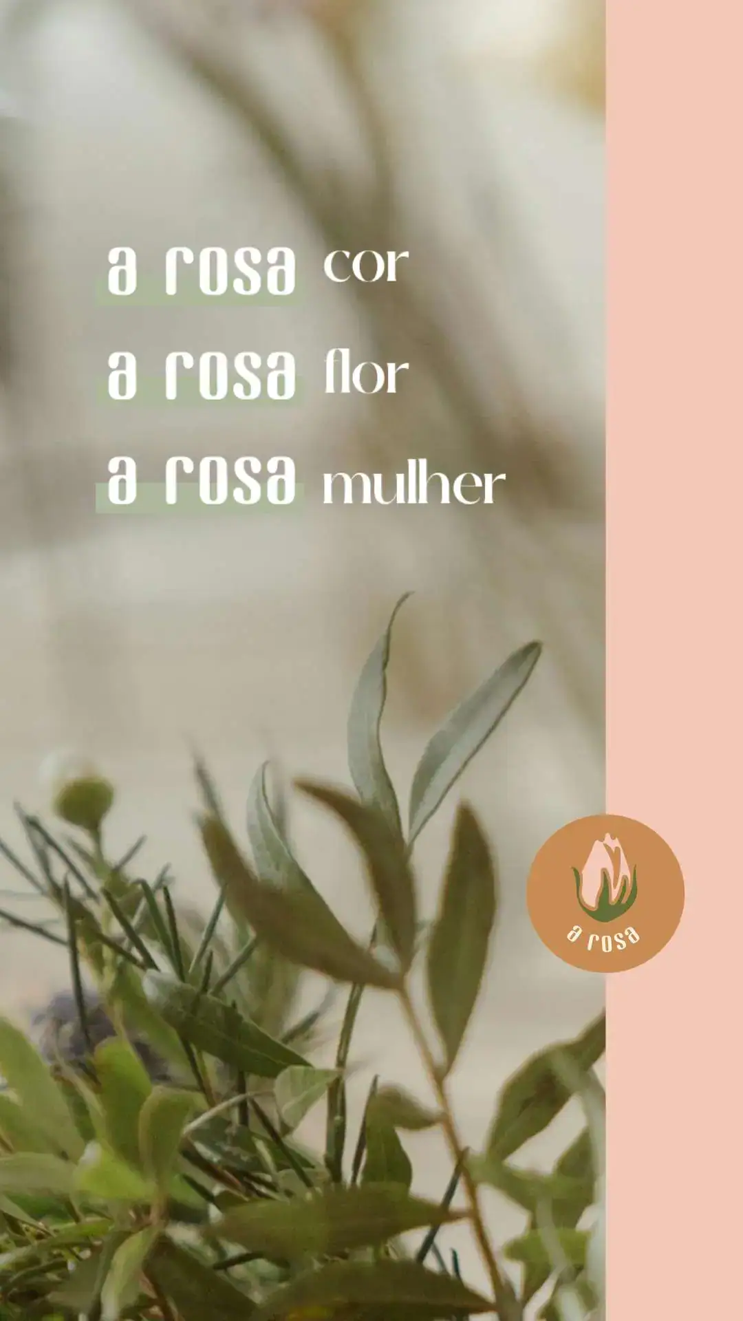 Identidade Visual Floricultura