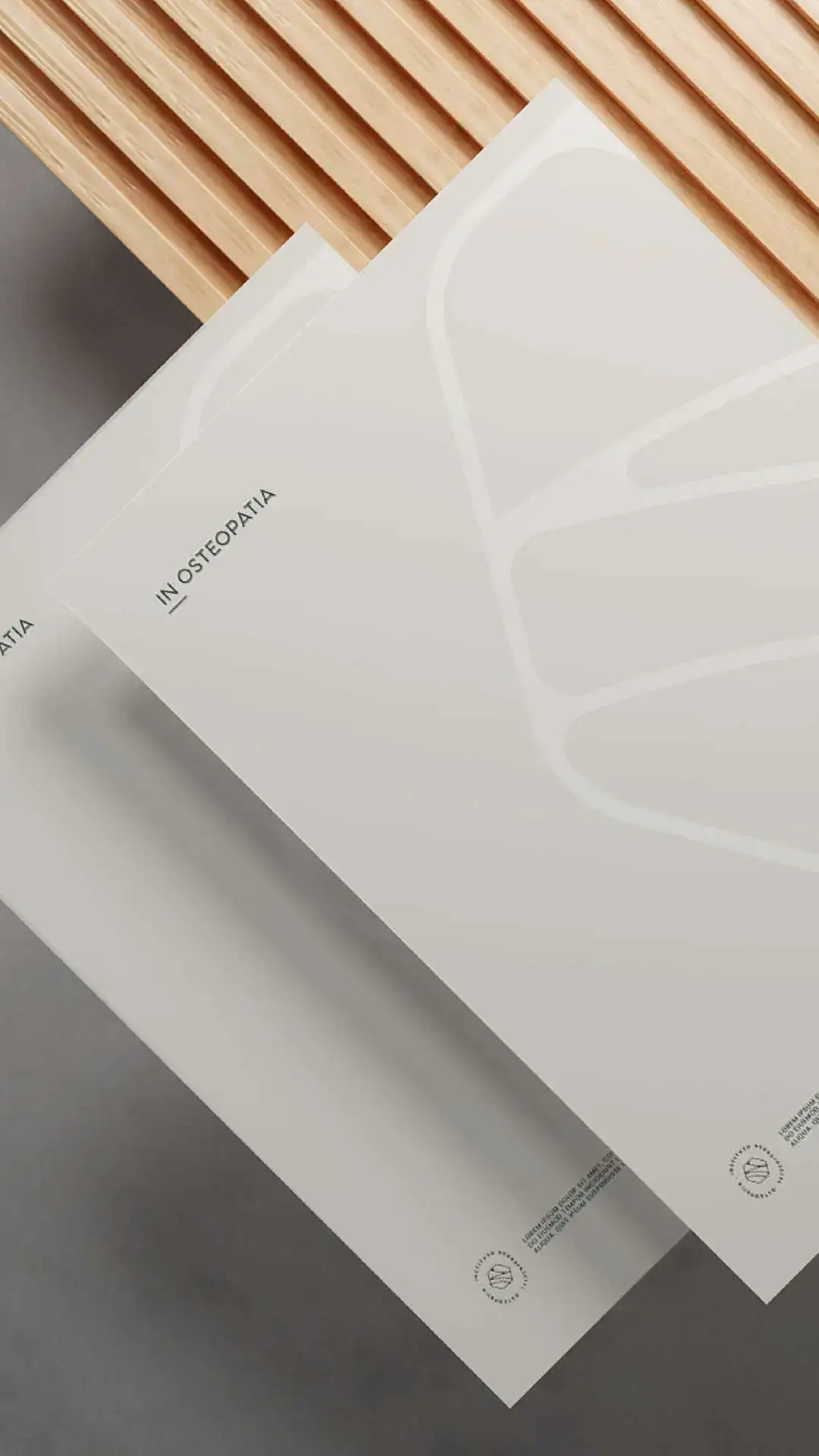 Identidade Visual Fisioterapia Osteopatia