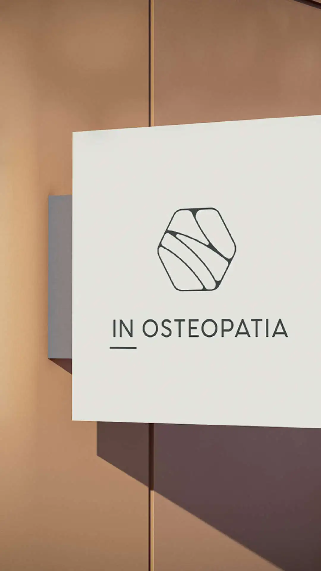 Identidade Visual Fisioterapia Osteopatia