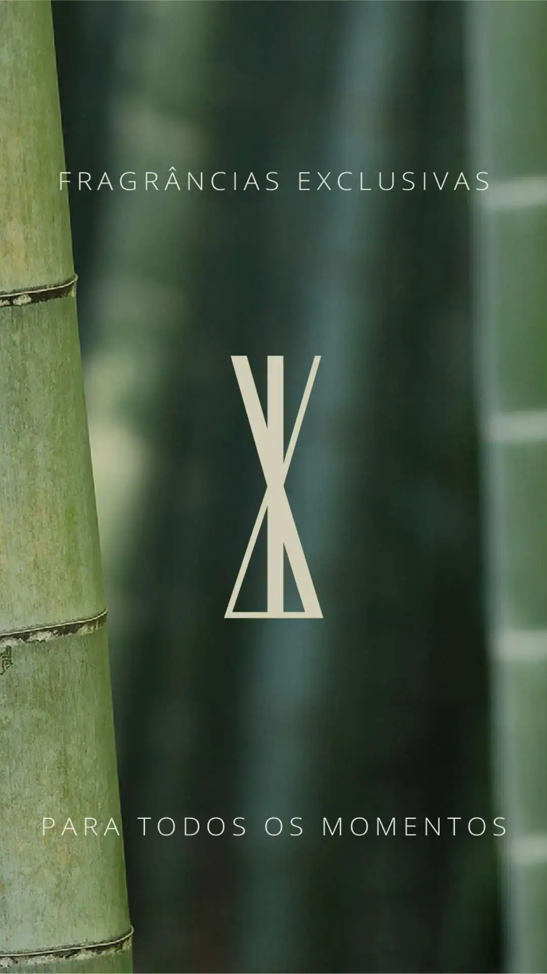 Identidade Visual Aromatizantes