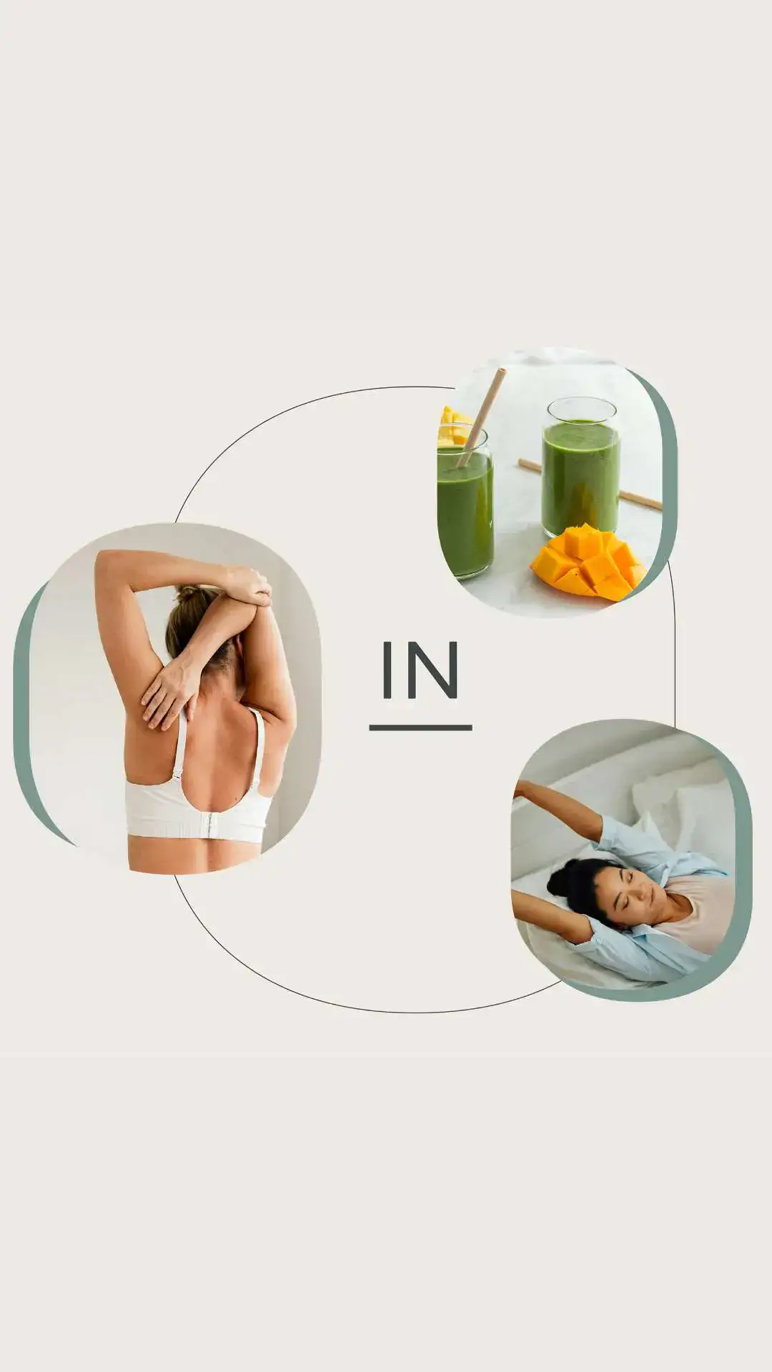 Identidade Visual Fisioterapia Osteopatia