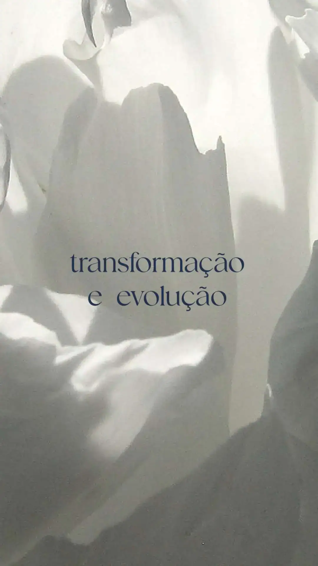 Identidade Visual Astrologia