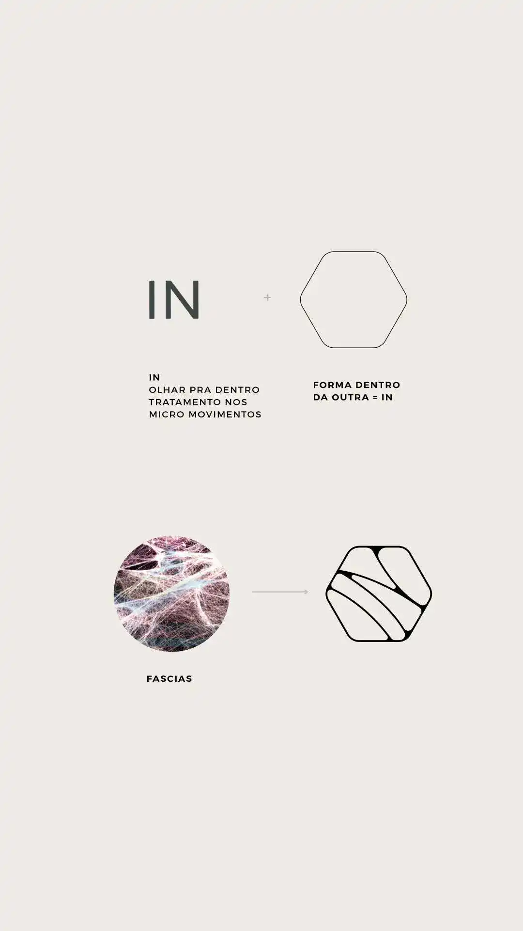 Identidade Visual Fisioterapia Osteopatia