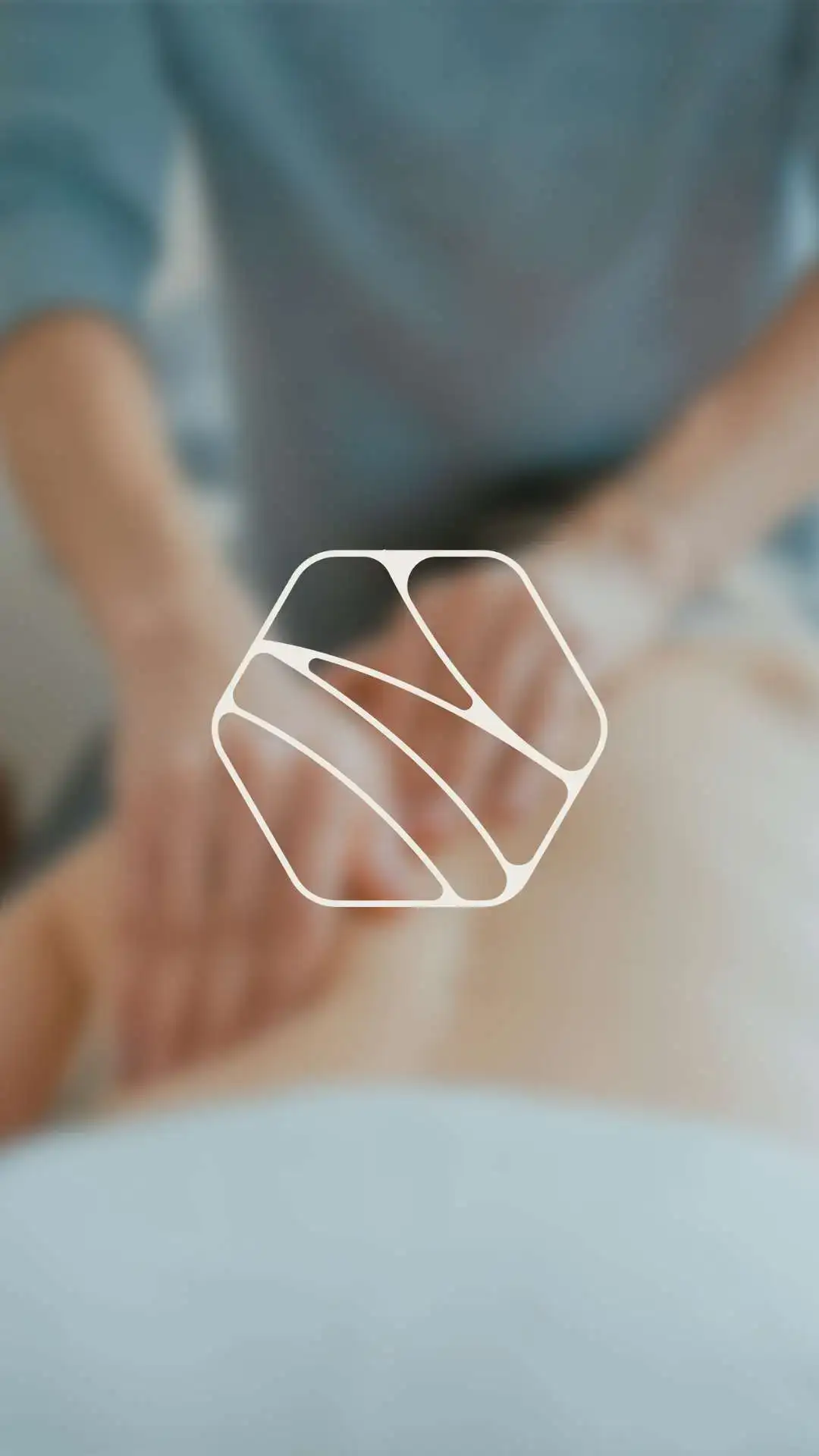Identidade Visual Fisioterapia Osteopatia