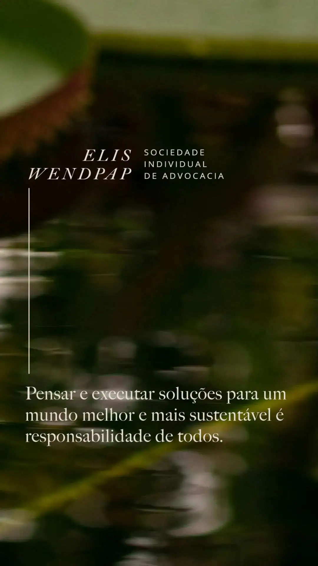 Identidade Visual Advocacia - Escritório Boutique Jurídica