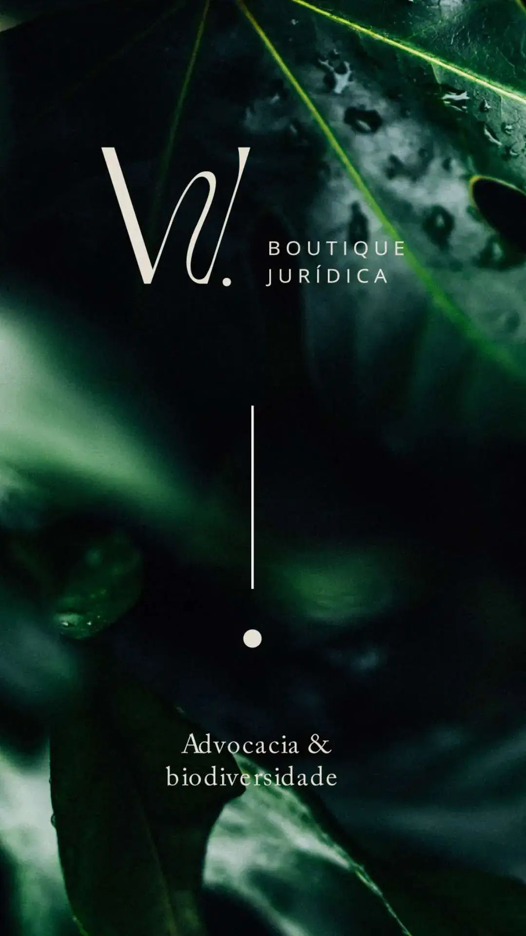 Identidade Visual Advocacia - Escritório Boutique Jurídica