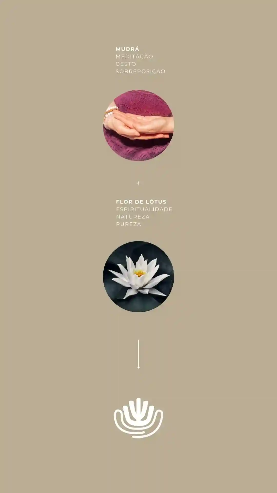Identidade Visual Produtos Holísticos Yoga