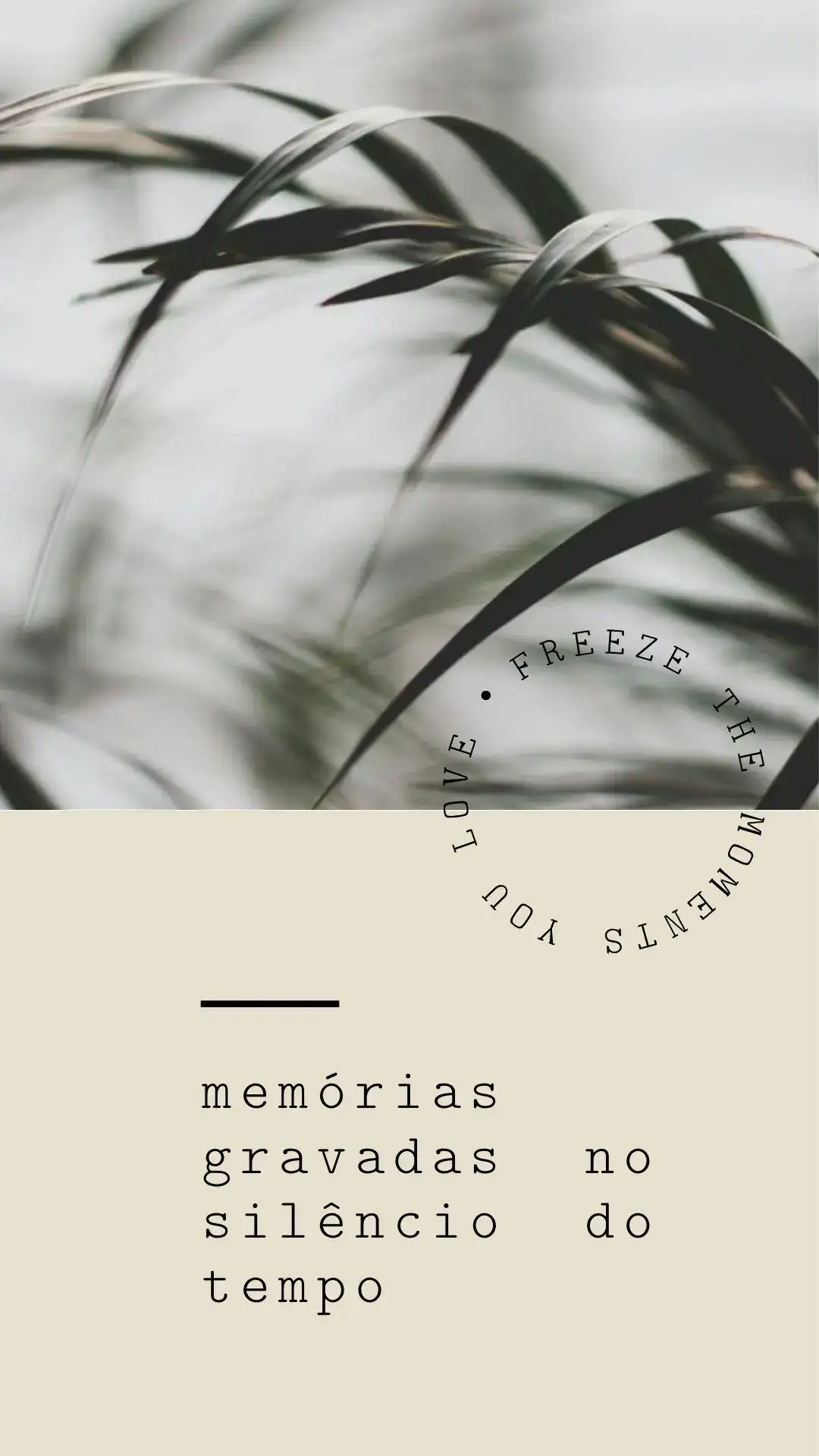 Identidade Visual Fotógrafa - Fotografia