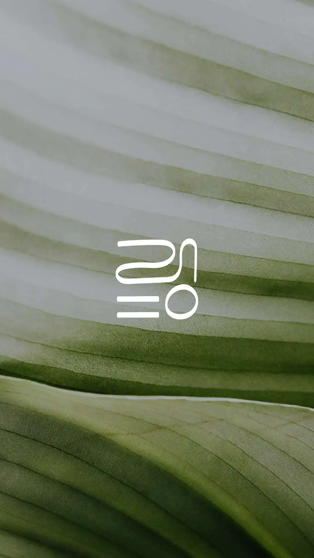 Identidade Visual Aplicativo Wellness