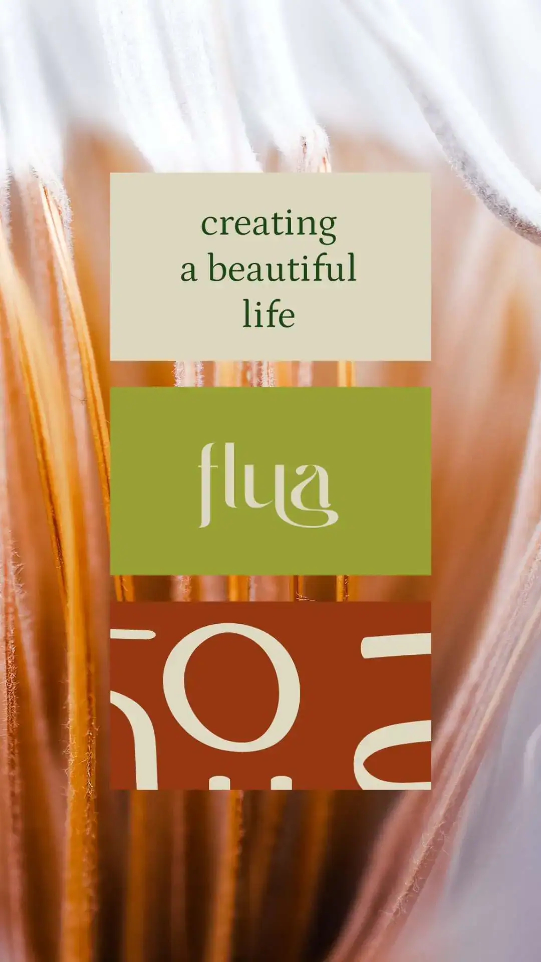 Identidade Visual Aplicativo Wellness