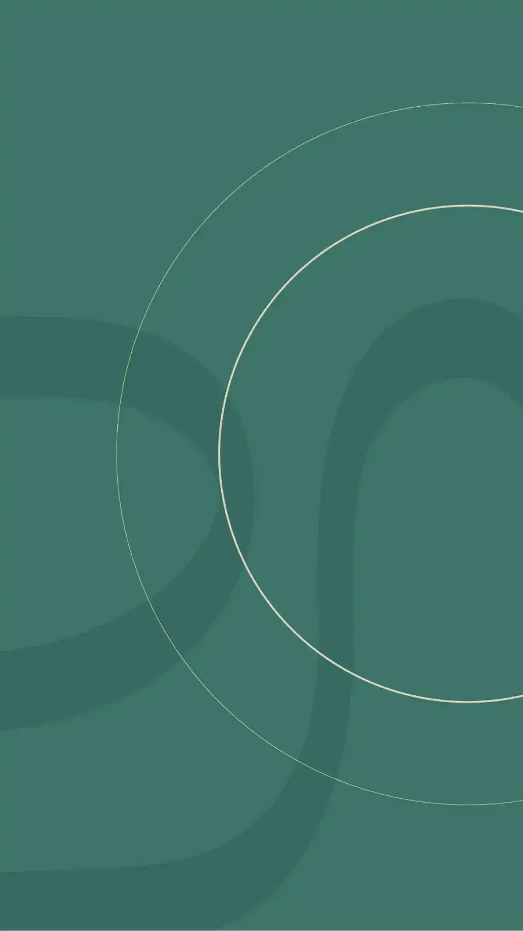 Identidade Visual Aplicativo Wellness